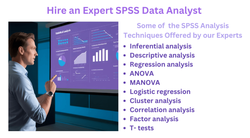 Hire an Expert SPSS Data Analyst 